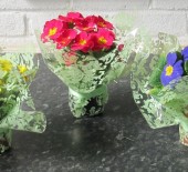 Mothers Day At Munneries 22/02/18