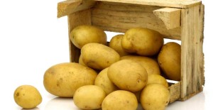 New Season Bakers & Main Crop Potatoes