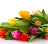 Mothers Day 2023 *13/03/23*