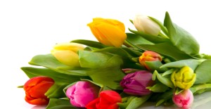 Mothers Day 2023 *13/03/23*