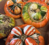 Local Squashes & Pumpkins *Now Available* 01/10/25