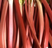 English Forced Rhubarb *27/01/23*
