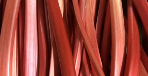 English Forced Rhubarb *27/01/23*