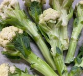 *LOCAL* Cauli-Shoots *Now Available* 15/07/22