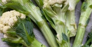 *LOCAL* Cauli-Shoots *Now Available* 15/07/22