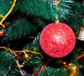 Local Produce for the festivities *24/11/22*