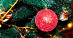 Local Produce for the festivities *24/11/22*