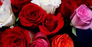 Valentine's Day 2023 *06/02/2023*