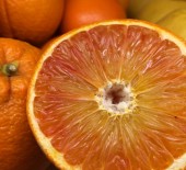 Seville & Blood Oranges *Now Available* - 03/01/25 -