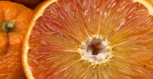 Seville & Blood Oranges *Now Available* - 03/01/25 -