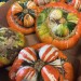 Local Squashes & Pumpkins *Now Available* 01/10/25