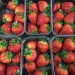 *Local Berries* Now Available! 02/06/26