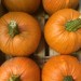 *Autumn* 2025 - Local produce aplenty!