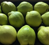 Quinces NOW Available 24/10/16