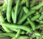 * Now Available* Local Broad Beans & Tenderstem 03/07/17