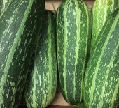 Chidham Marrows, Pagham Sweetcorn & Cougettes 14/07/17