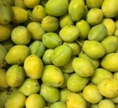 *New Arrivals* Greengagers, Local Chidham Broccoli & Victoria Plums 03/08/17