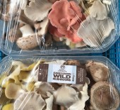 Local Wild Mushrooms *Now Available*