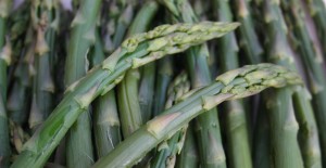 LOCAL Asparagus - In its Prime! 01/06/19