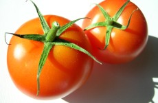 Double M Tomatoes - Special Offer this weekend!
