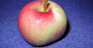 British apple season has begun... 24/08/15
