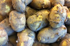 SPECIAL OFFER - Jersey Royal Potatoes