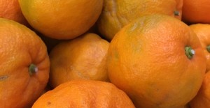 Seville Oranges *Now Available*  08/01/18