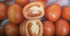 Thur, Fri & Sat - Special Offer - Class 1 Plum Tomatoes