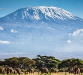 *Kilimanjaro Challenge 2018*