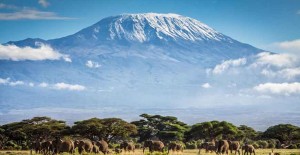 *Kilimanjaro Challenge 2018*