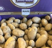 Jersey Royals *Now Available*